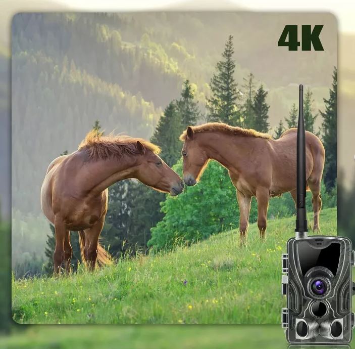 camera de chasse haute definition 